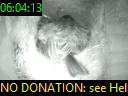 06:04:13