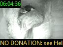 06:04:36