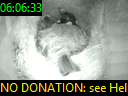 06:06:33