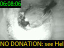 06:08:06