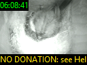 06:08:41