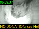 06:09:37