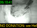 06:10:41