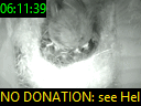 06:11:39