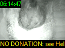 06:14:47