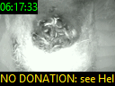 06:17:33