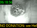 06:18:56
