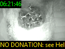 06:21:46
