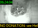 06:24:04