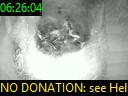 06:26:04