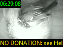 06:29:08