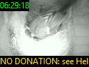 06:29:18