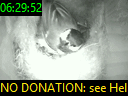 06:29:52