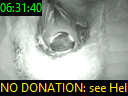 06:31:40