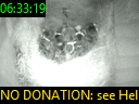 06:33:19