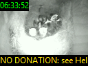 06:33:52