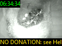 06:34:34