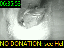 06:35:53