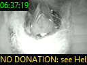 06:37:19