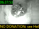 06:37:53