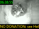 06:38:55