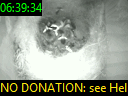 06:39:34
