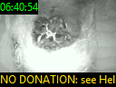 06:40:54