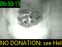 06:50:15