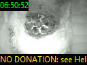 06:50:52