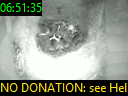 06:51:35