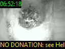 06:52:18