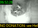06:52:28