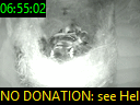 06:55:02