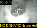 06:55:42