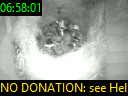 06:58:01