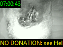 07:00:43