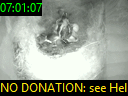 07:01:07