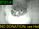 07:01:41