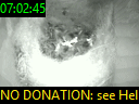 07:02:45