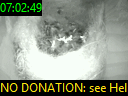 07:02:49