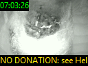 07:03:26