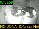 07:03:59
