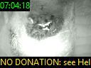 07:04:18