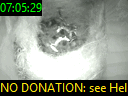 07:05:29
