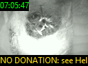 07:05:47