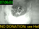 07:06:03