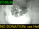 07:06:36