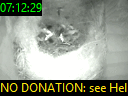 07:12:29