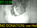 07:12:59