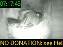 07:17:43